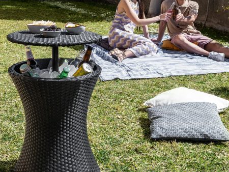 3-in-1 Cooler Table for Garden Frizzble InnovaGoods Supply